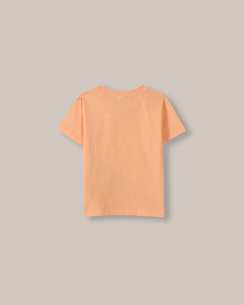 Playera Manga Corta Tinker Bell